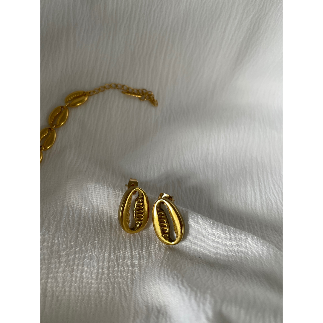Cowrie stud earrings gold silver 